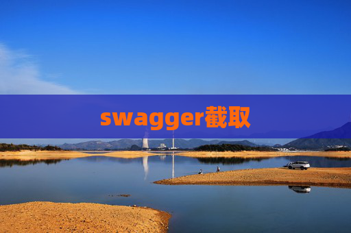 swagger截取